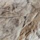 Tapis peau de bête rétro