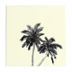 Jungle 03