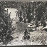 Vintage photograph of a forest by the lake by Bernard Darot, 20th century