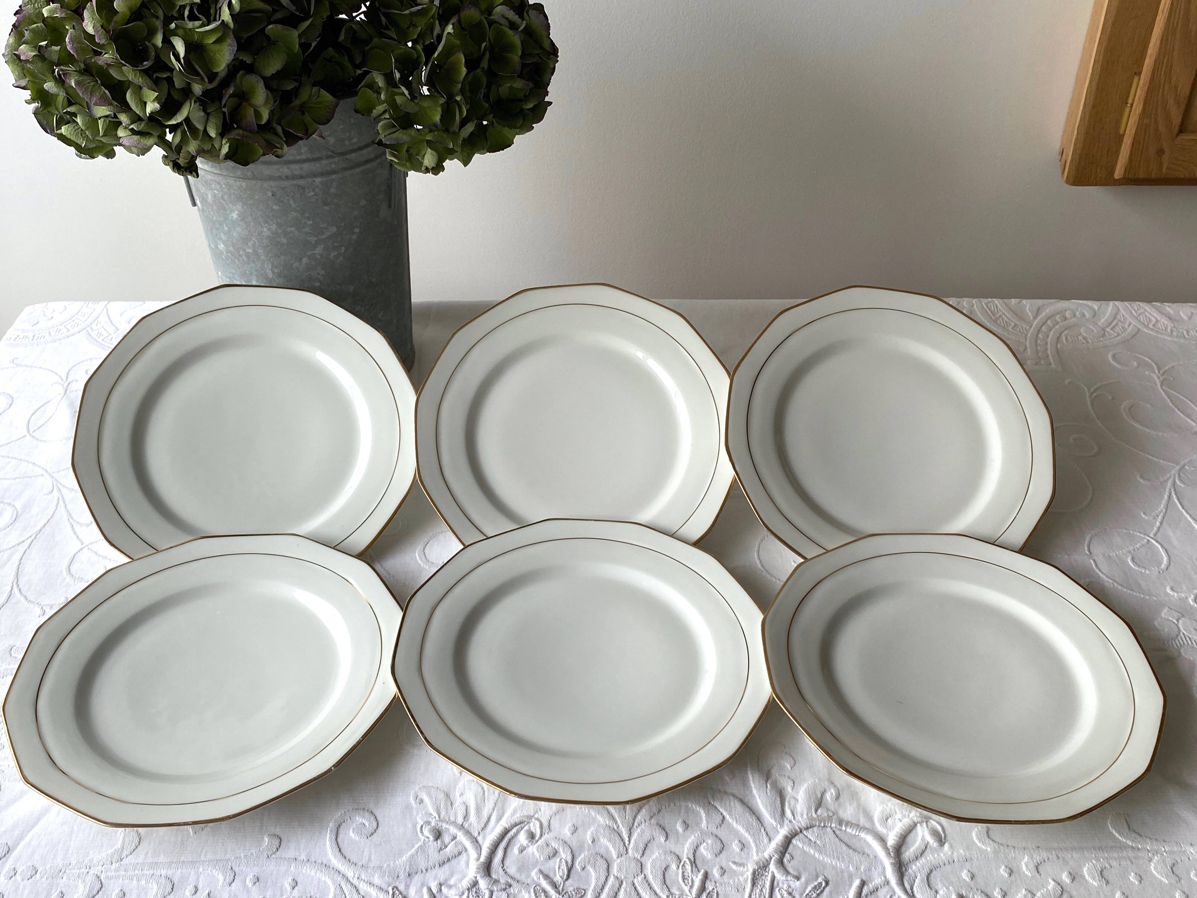 Limoges porcelain dinner plates