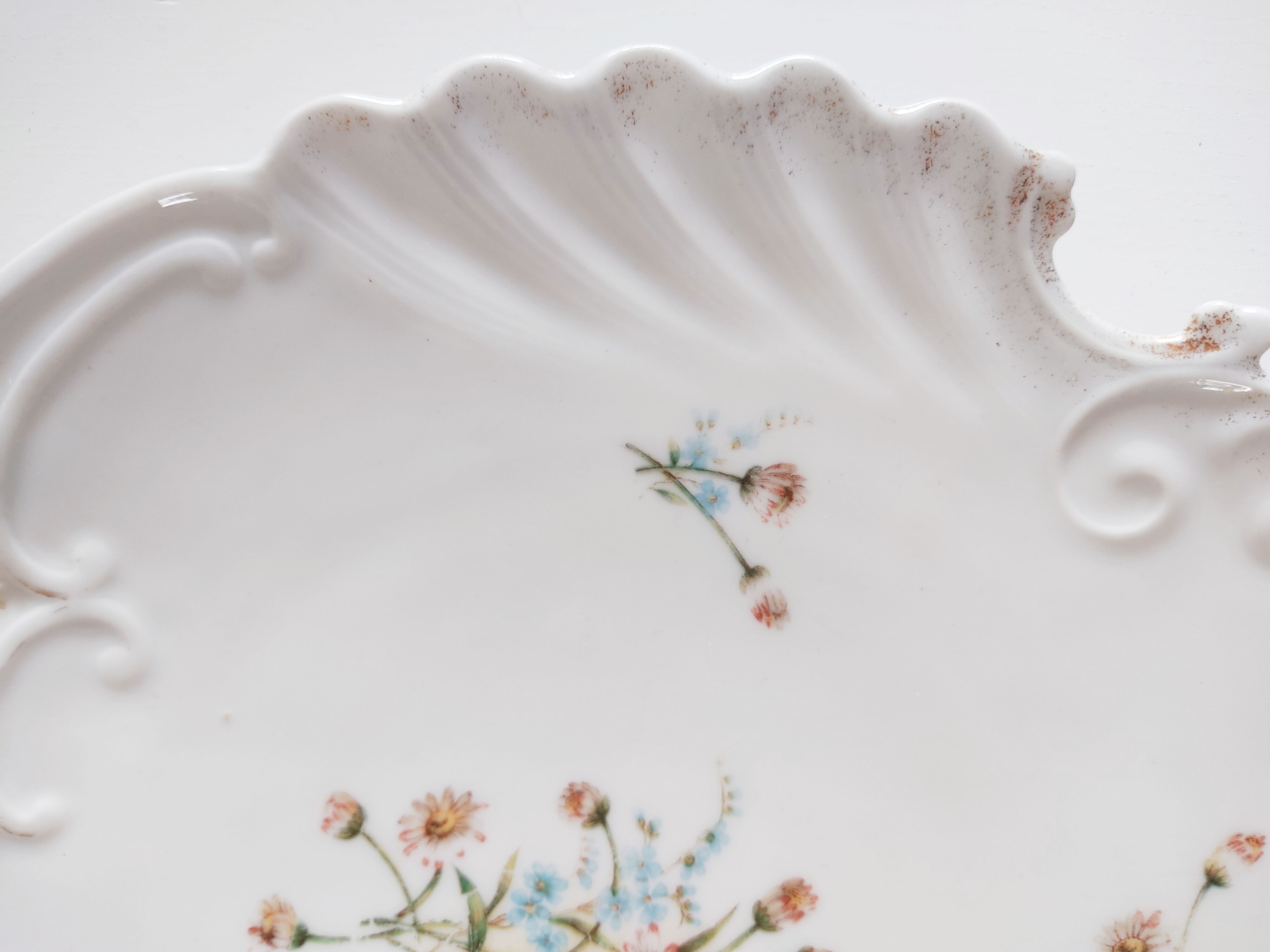 Porcelain shell-shaped dish