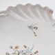 Porcelain shell-shaped dish