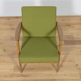 Model 300-139 Armchairs from Swarzędz Factory, 1960s, Set of 2