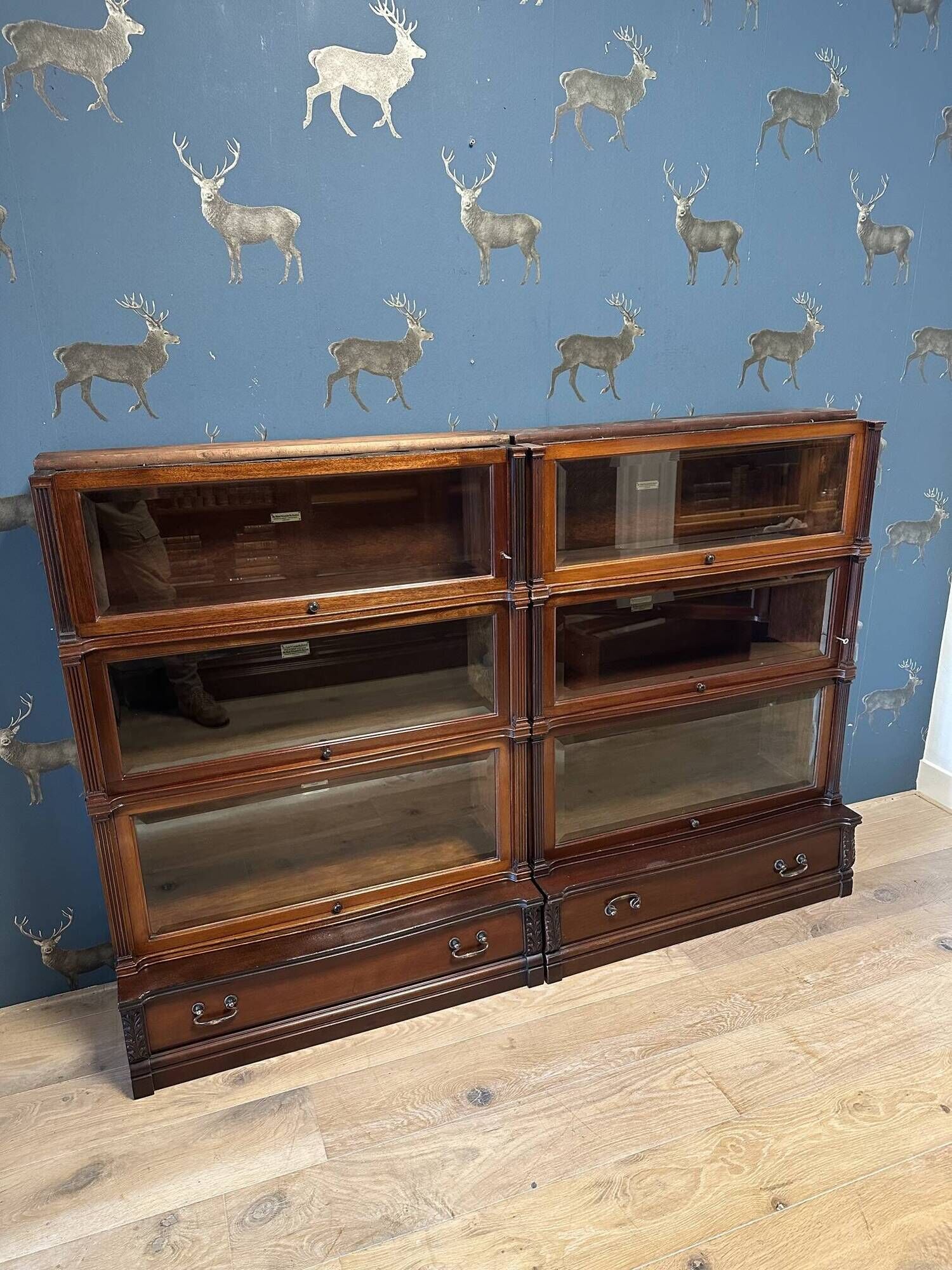Special Globe Wernicke Bookcase
