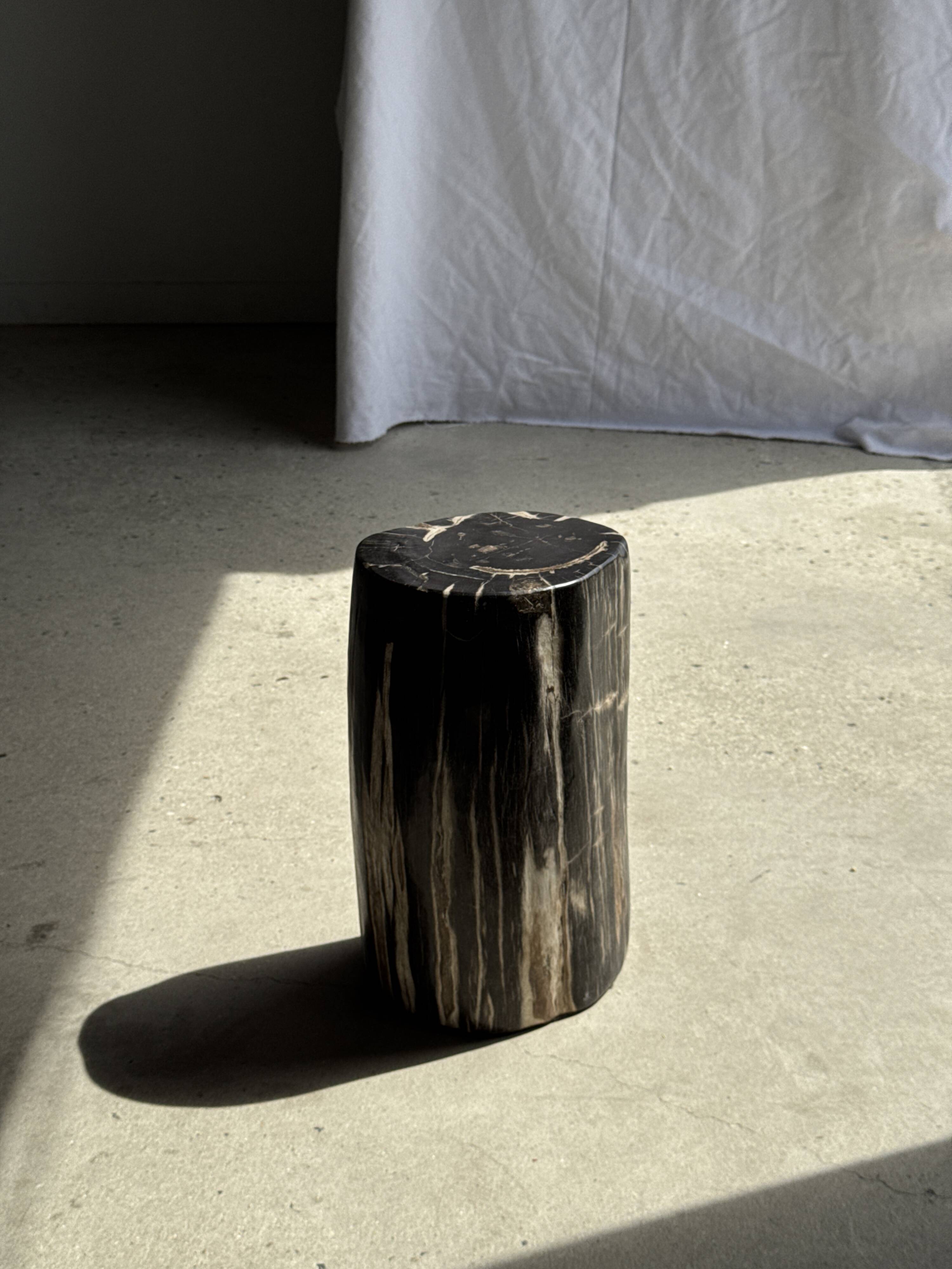 Table d'appoint en bois pétrifié noir