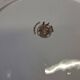 Pie dish with ears from Moulin des Loups in good condition.
