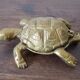 Brass turtle ashtray