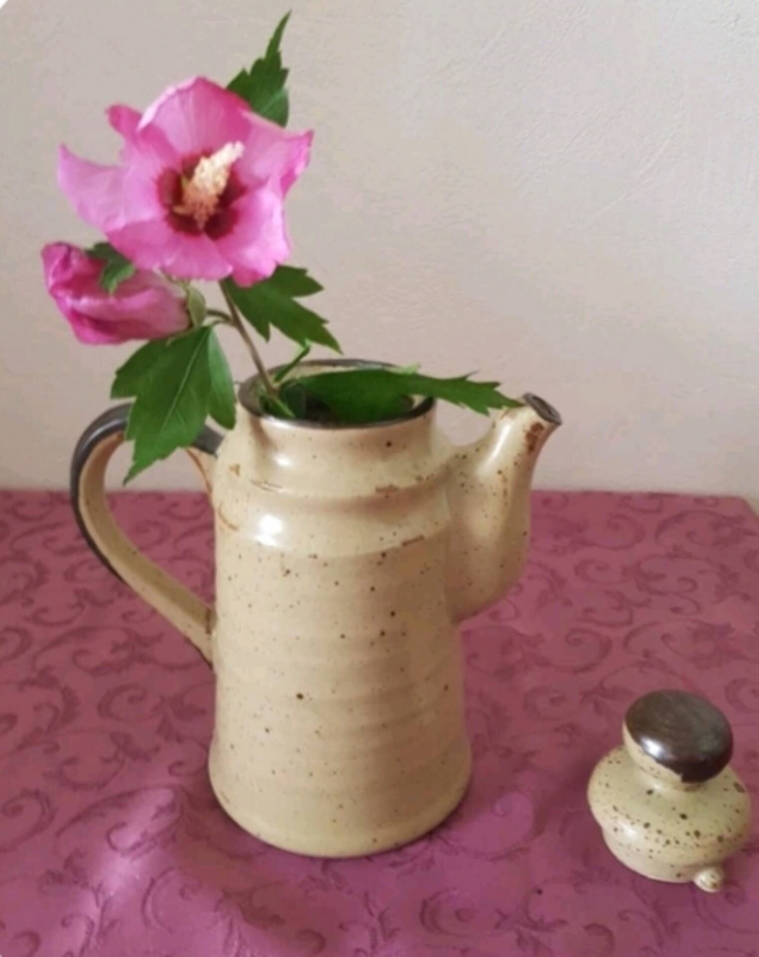 Teapot/coffee pot in Japanese stoneware