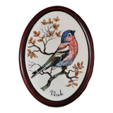 Bullfinch bird frame