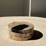 Set of 3 fossilized wood coasters (clear)