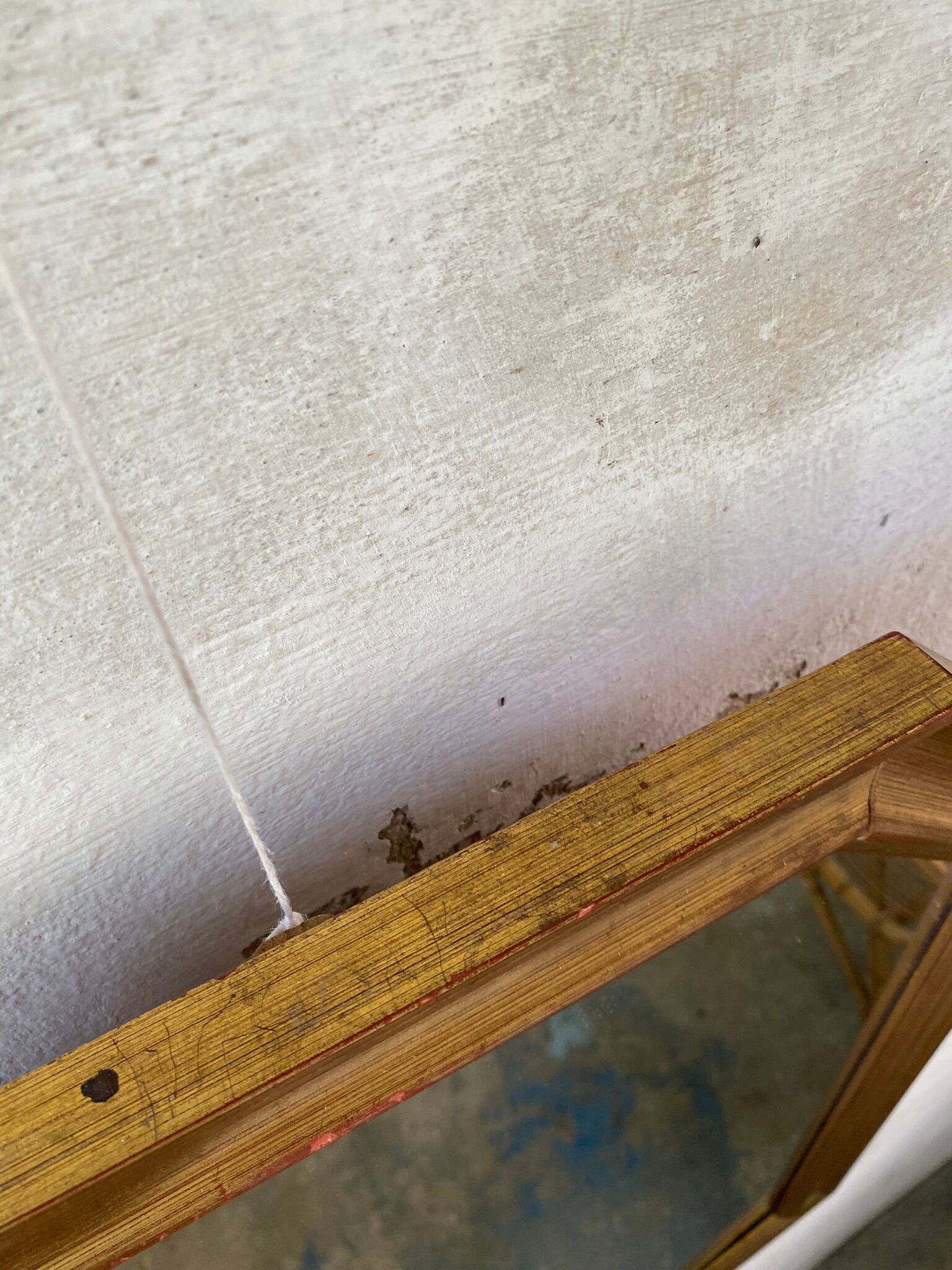 Octagonal Wall Mirror with Vintage Molded Gilded Wood Frame