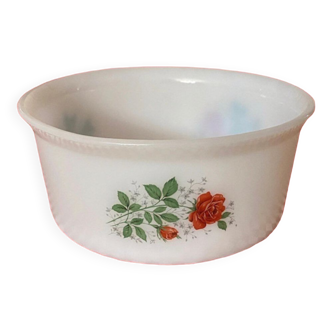 Arcopal salad bowl