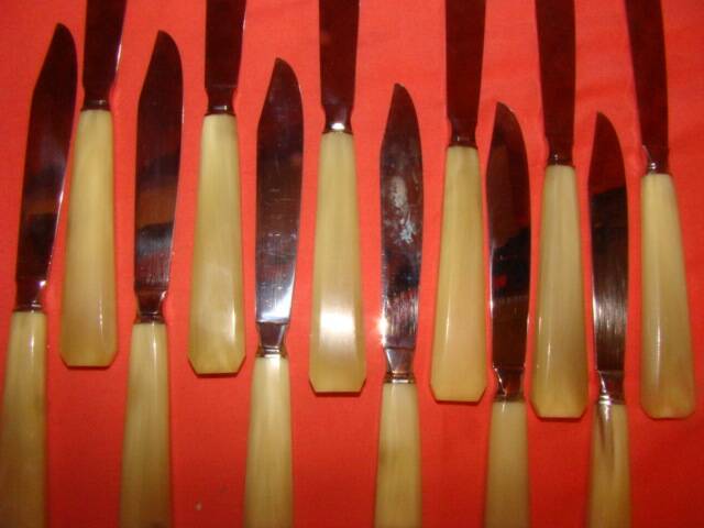 Set of 12 table knives and 12 cheese knives in bone and stainless steel.