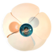 "Flower" wall light Mourgue 1960s
