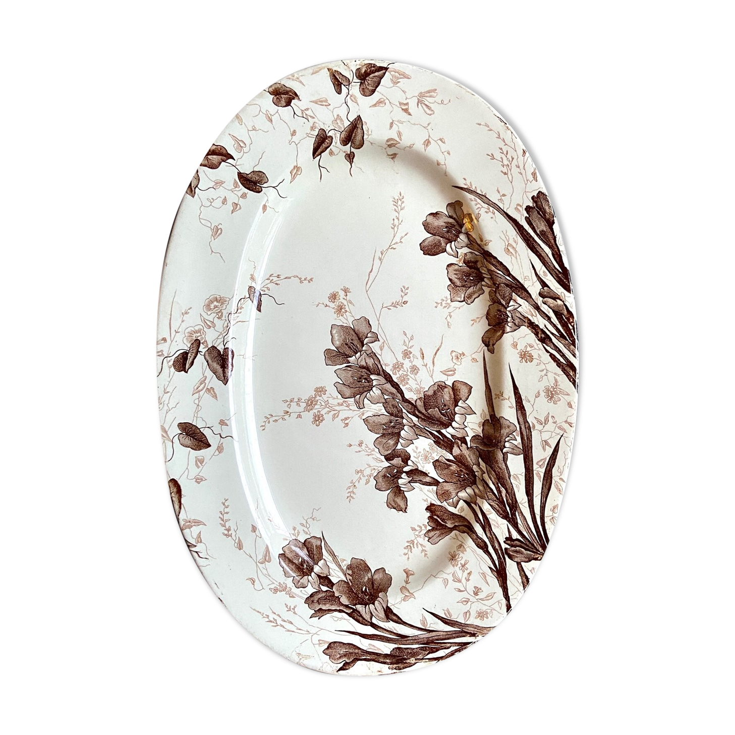 Oval plate in Creil & Montereau iron, "Gladiolus" service