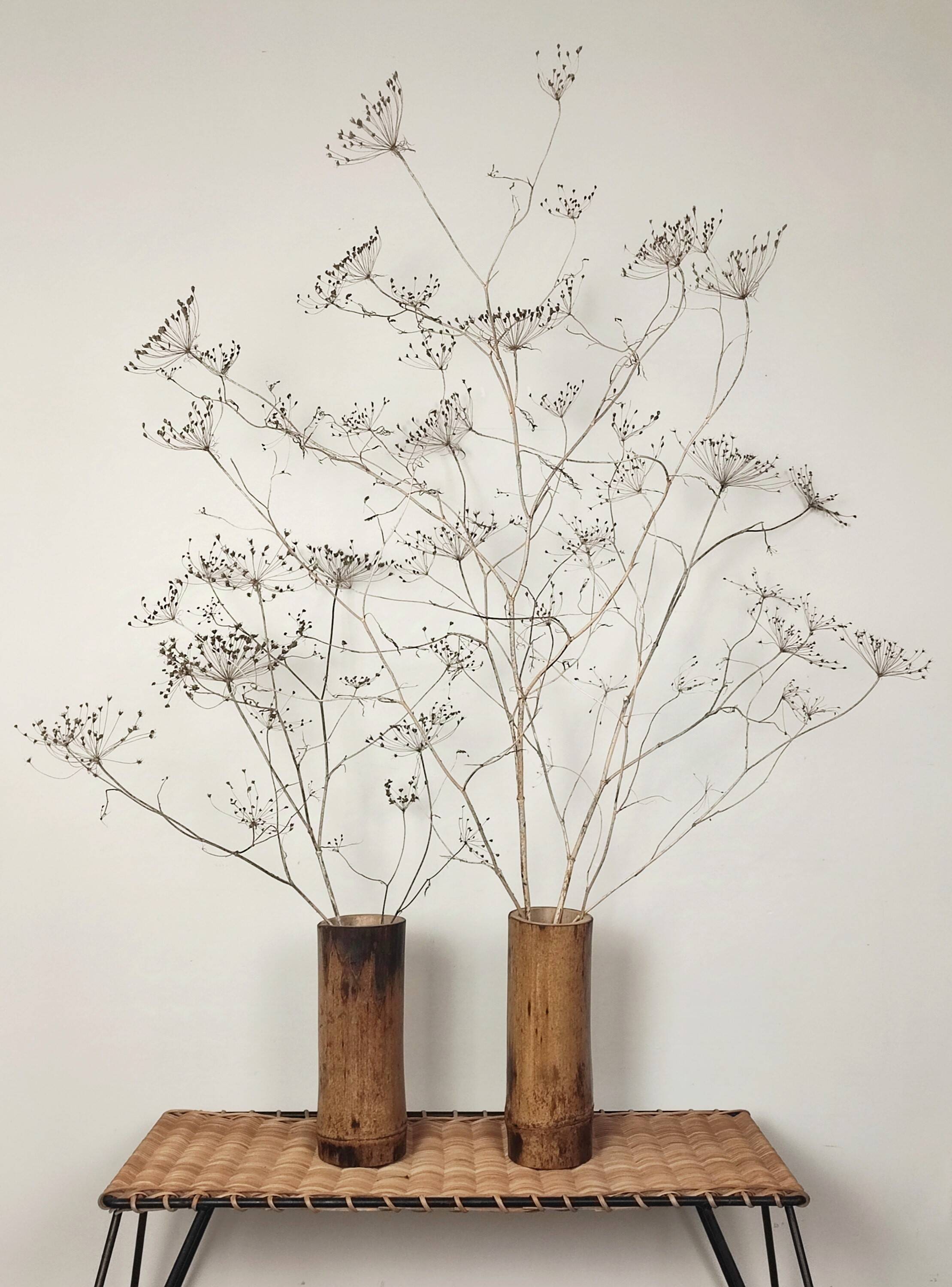 Duo vases bambou