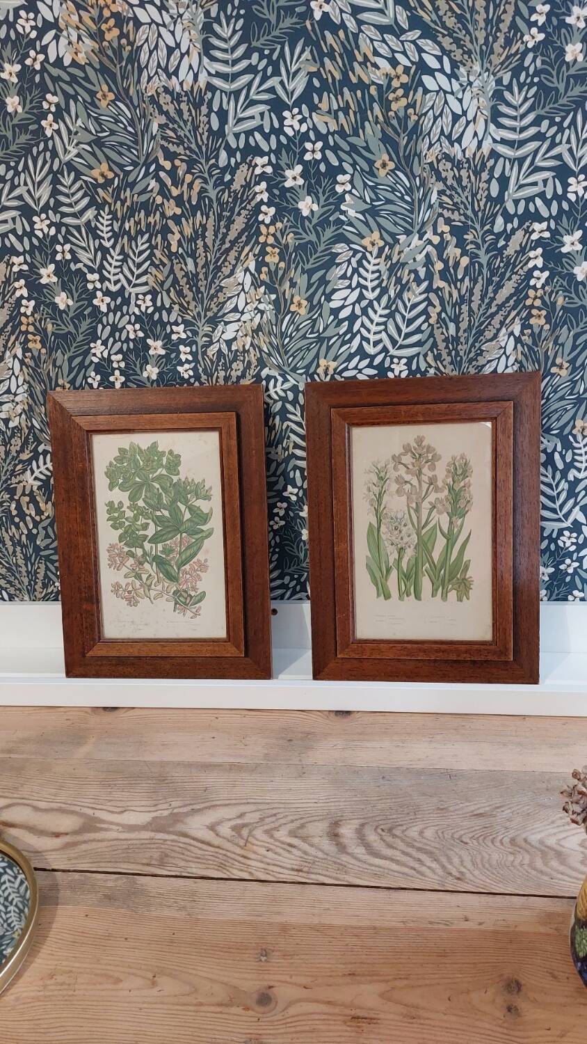 Duo botanical frames by hofleverancier
