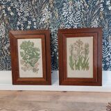 Duo botanical frames by hofleverancier