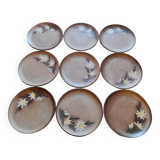Set of 9 plates