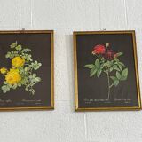 Pair of flower engravings