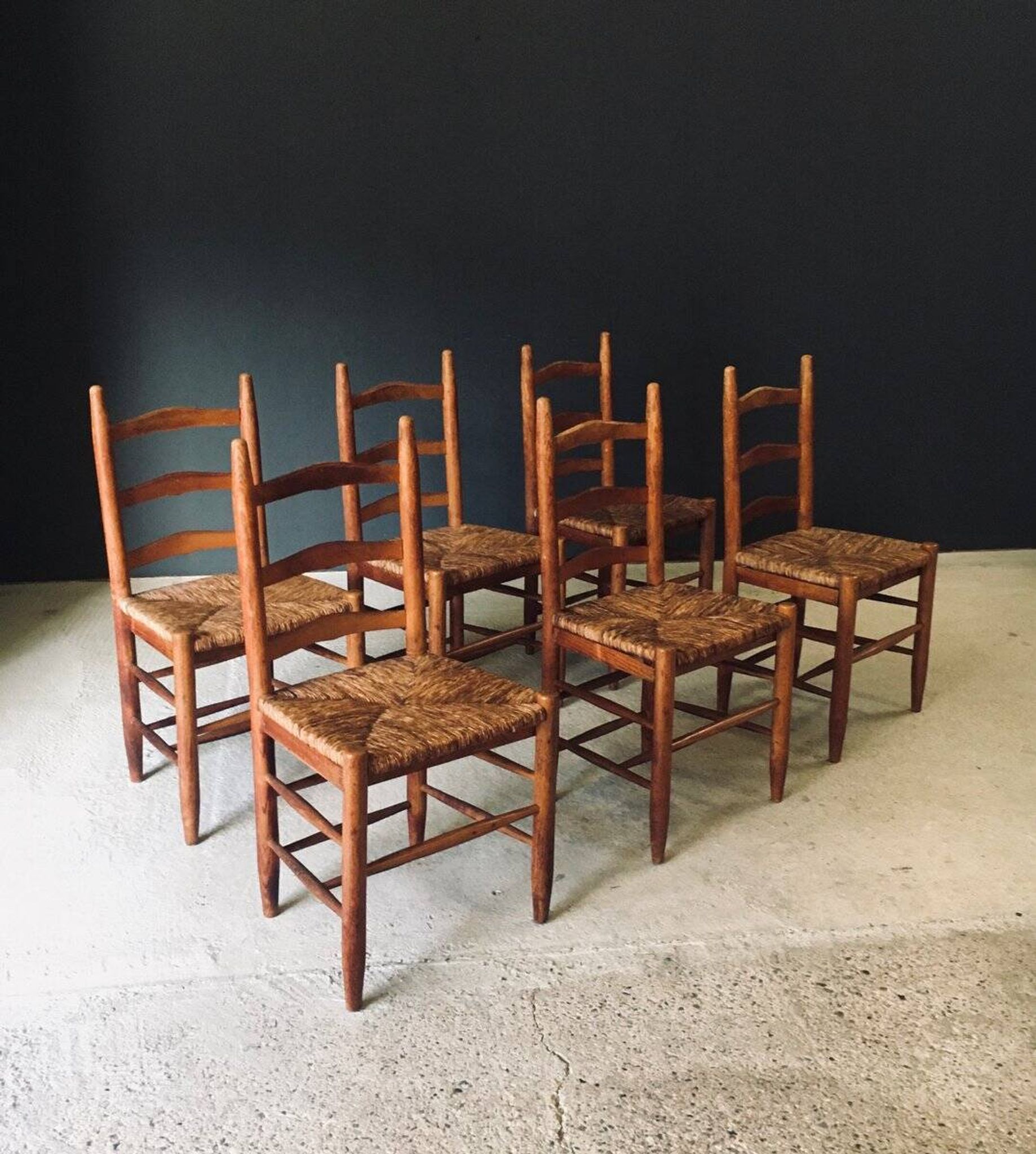 Low rustic ladder back dining chairs in oak and rush, Belgium, 1950s, set of 6.