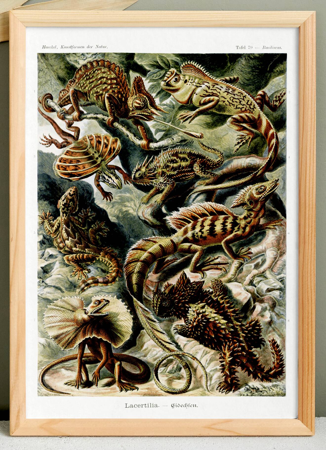 Poster about “exotic lizards”, based on an old lithograph