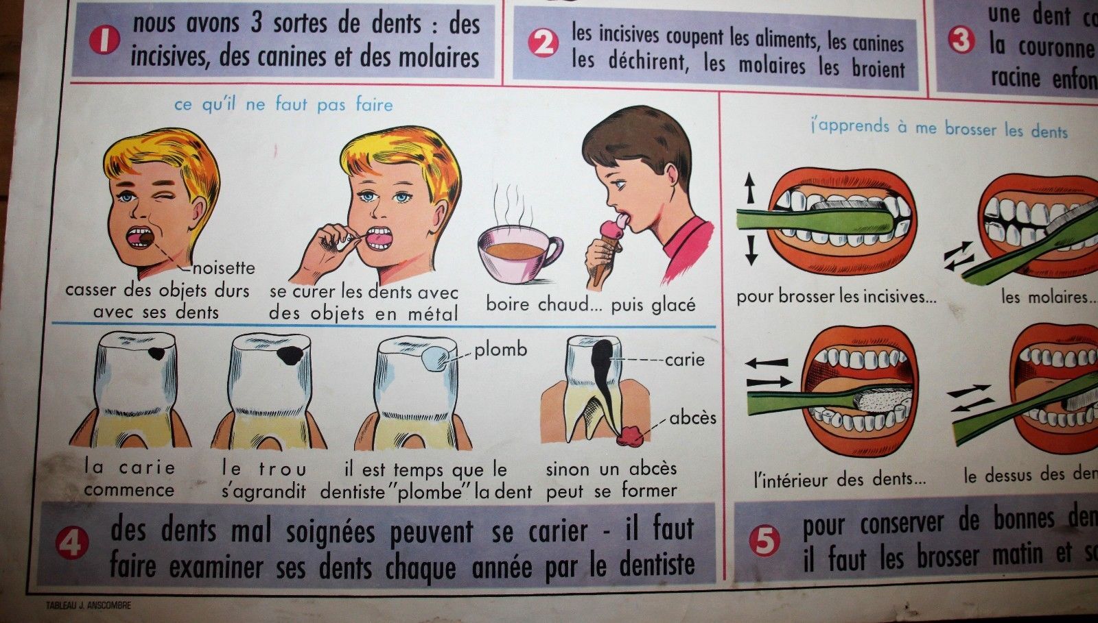 Affiche scolaire vintage MDI Nos dents et les yeux 19 et 20