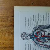 Original lithograph on Man