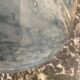 Vase en verre