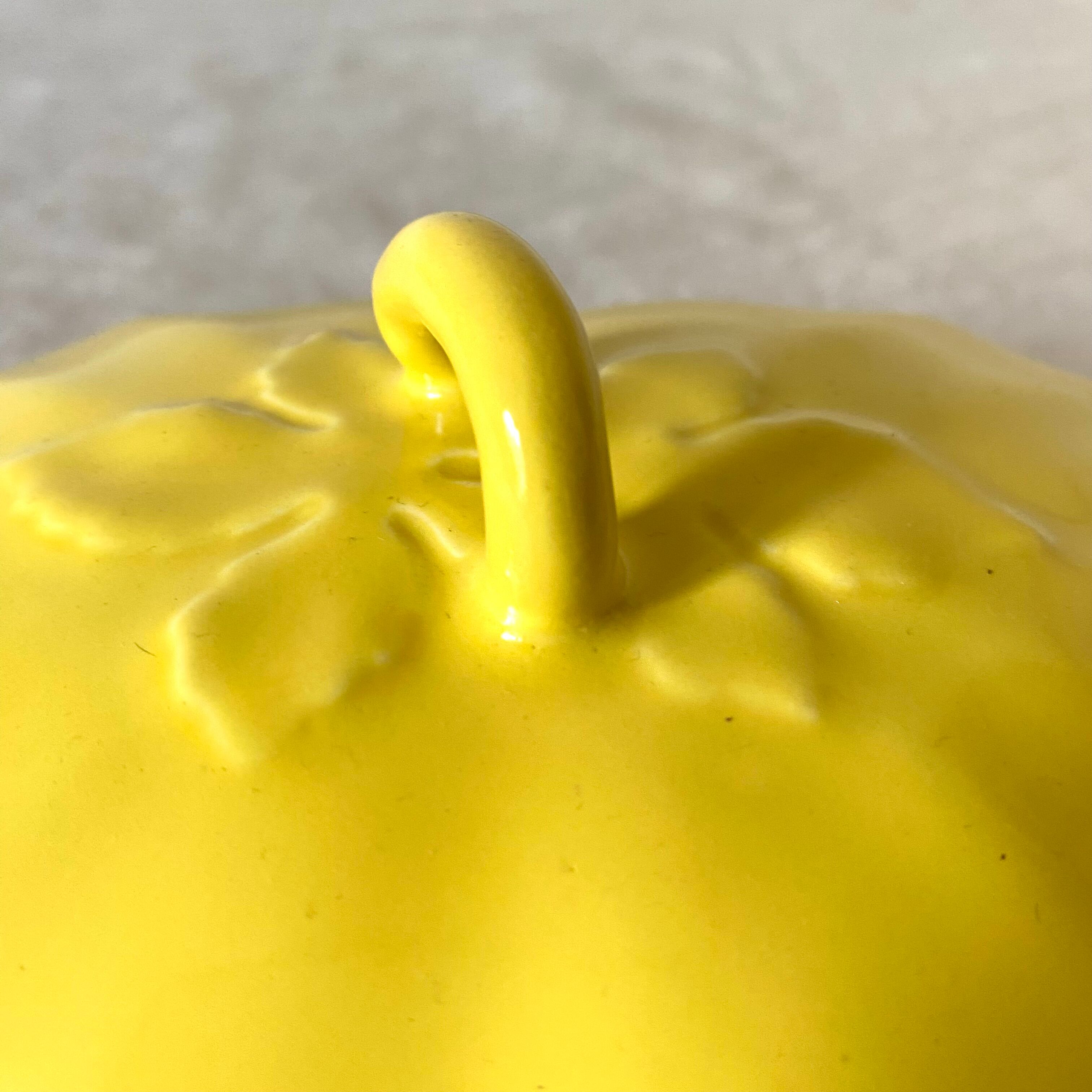 Butter dish Salin France 1960s