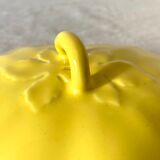 Butter dish Salin France 1960s