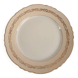 Porcelain flat plate