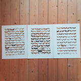 Engravings of lepidoptera lot of three