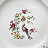 8 flat plates in Céranord porcelain, bird of paradise motif, "Regence" model