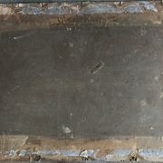 Ancienne estampe d’asie à décor polychrome d’aigle sur une branche xixème