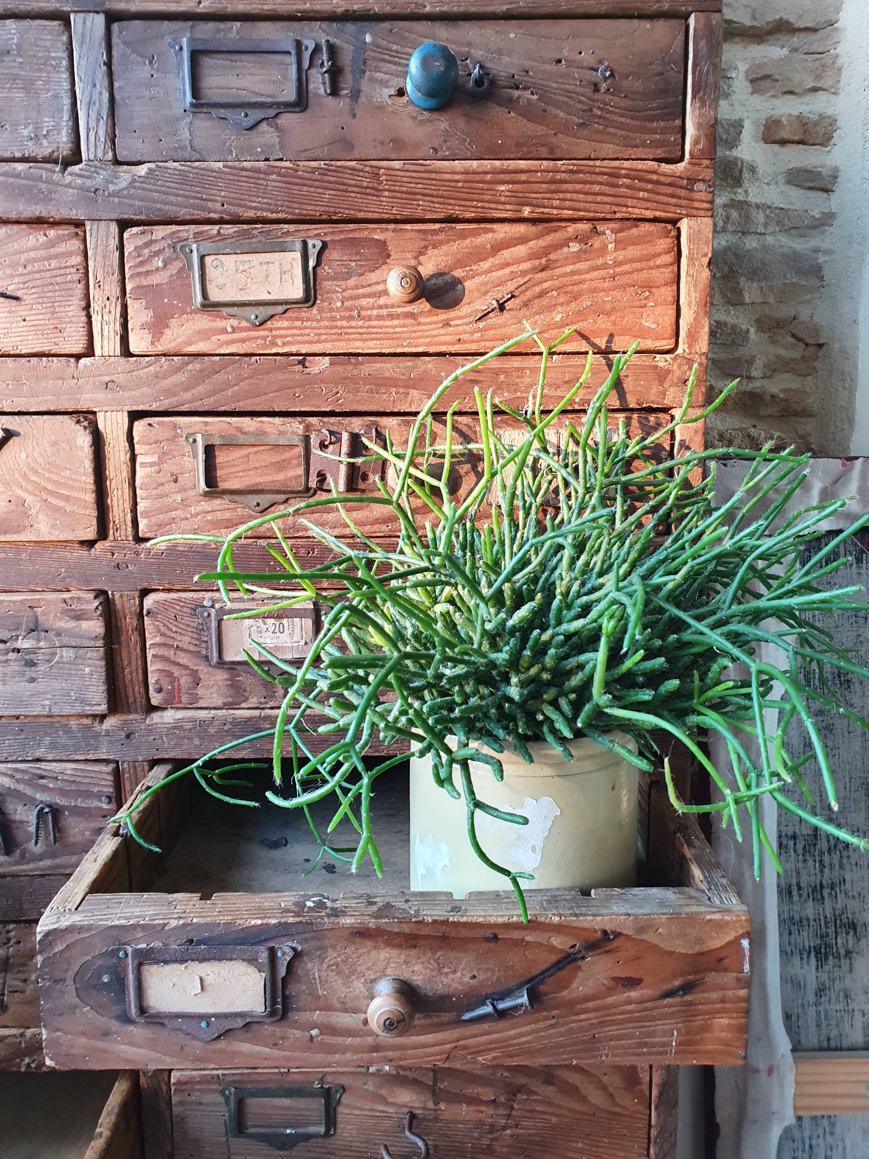 Trade cabinet 24 drawers