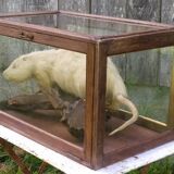 Old display case