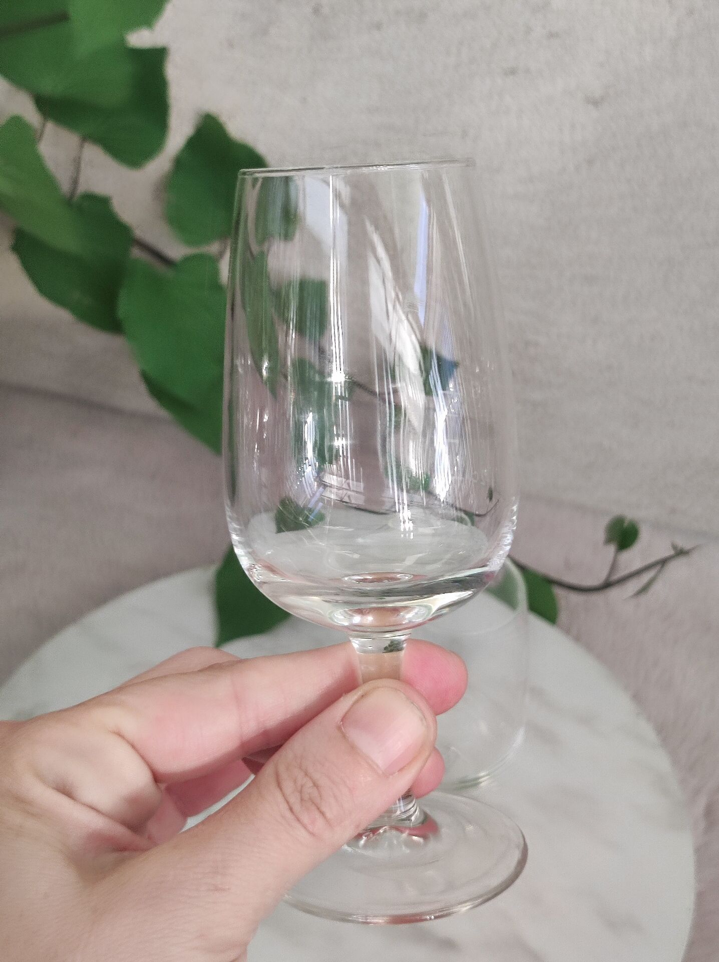 Verres a dégustation liqueur