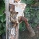 Old glass door 78.5x220.8cm