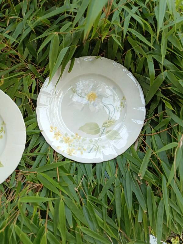 Pair of K&G Lunéville plates, Clématite model