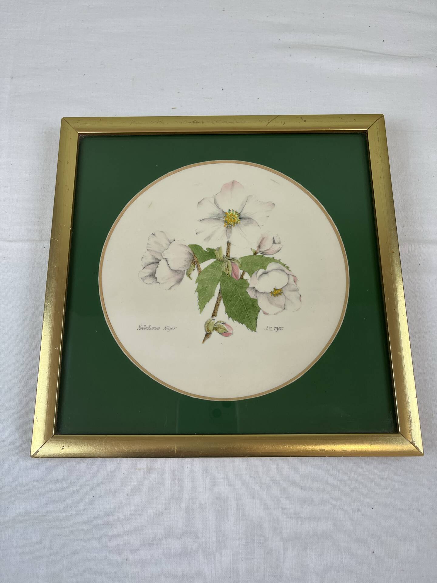 Hand-enhanced botanical plate