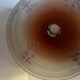 Vintage frosted glass ceiling light - 1950s