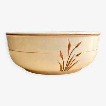 Retro salad bowl