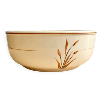 Retro salad bowl