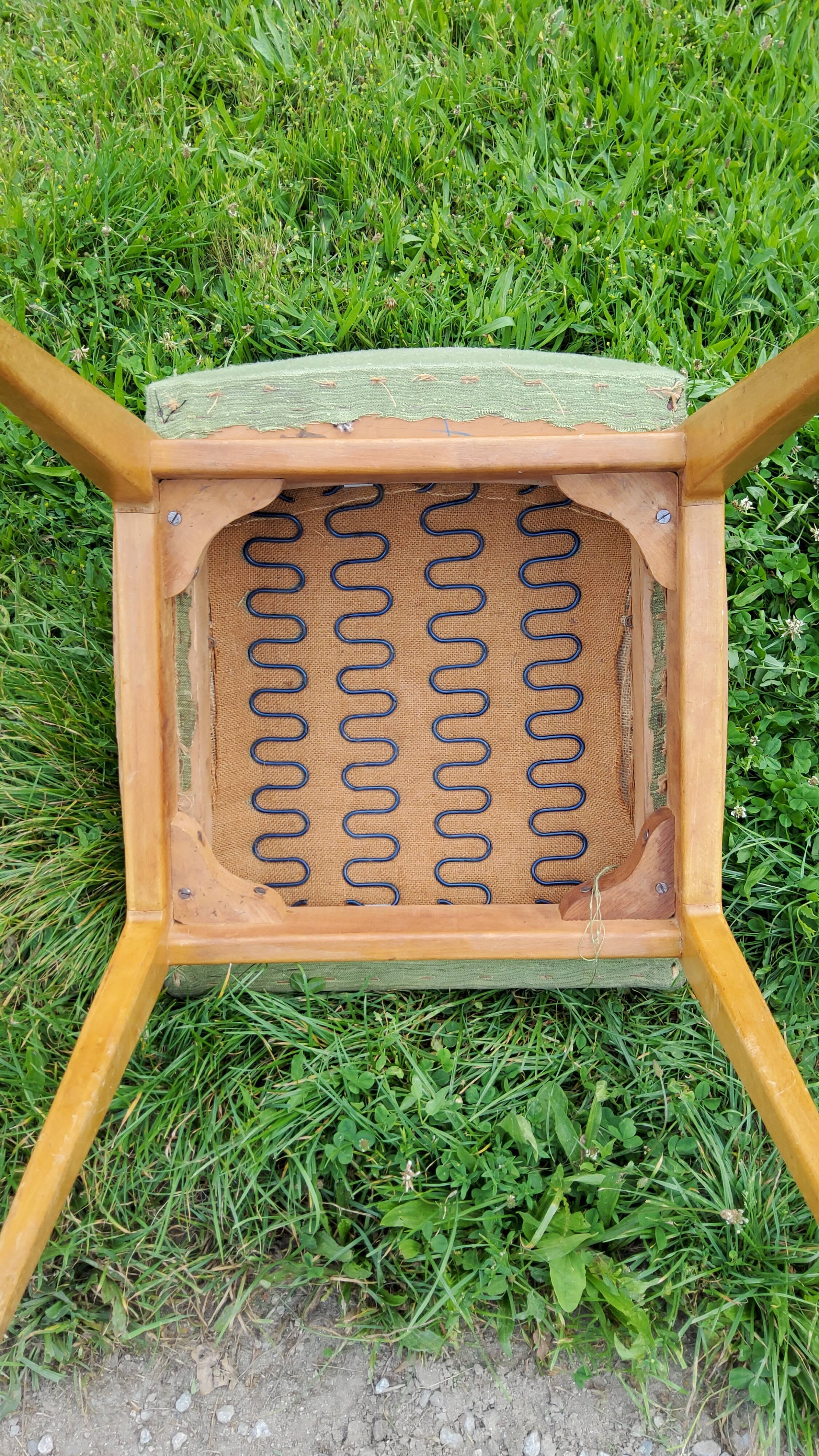 Pair of chairs from the 50s in sycamore tinted beech