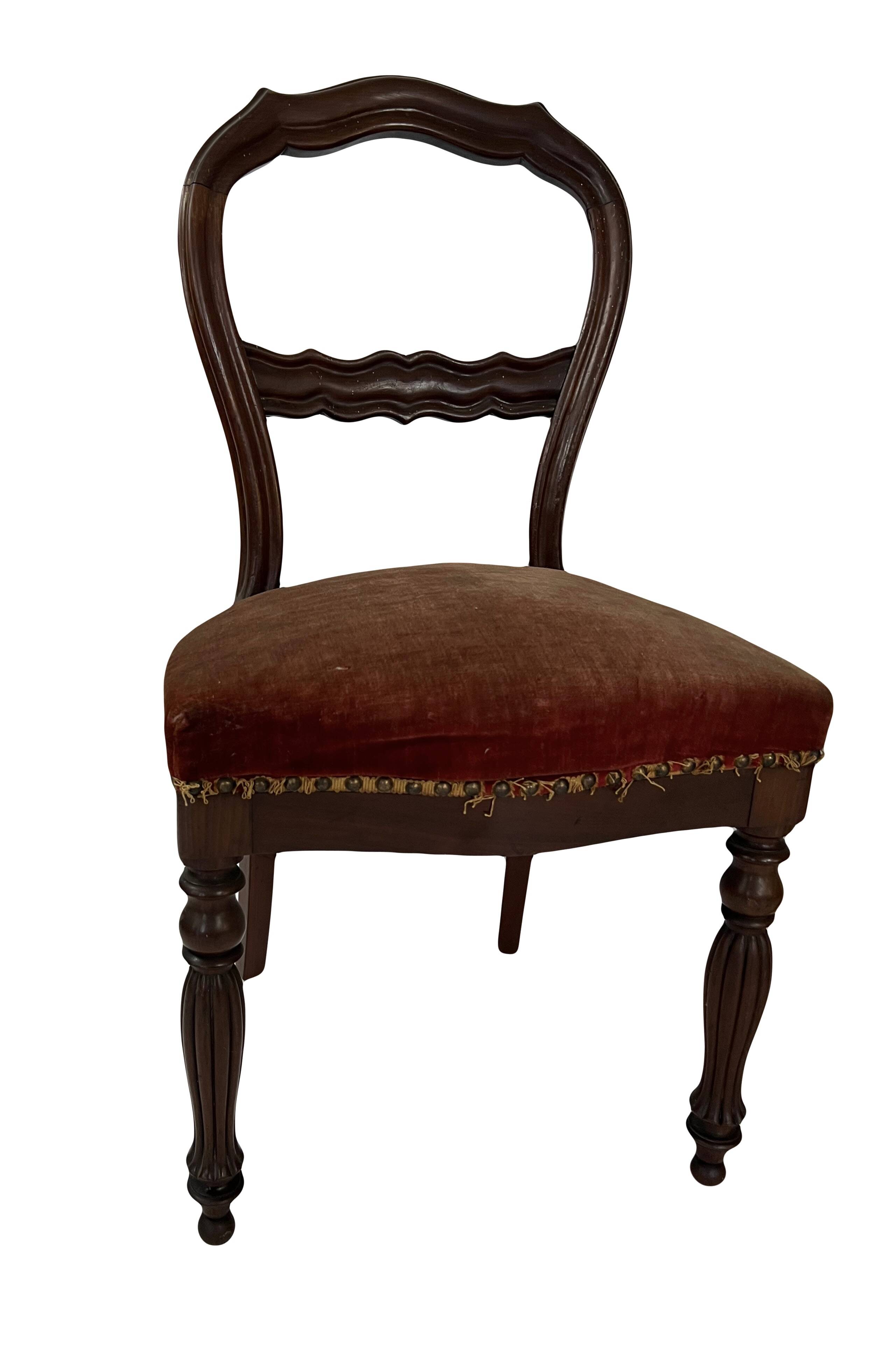 Pair of Louis Philippe period chairs in solid mahogany