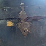 Old trunk