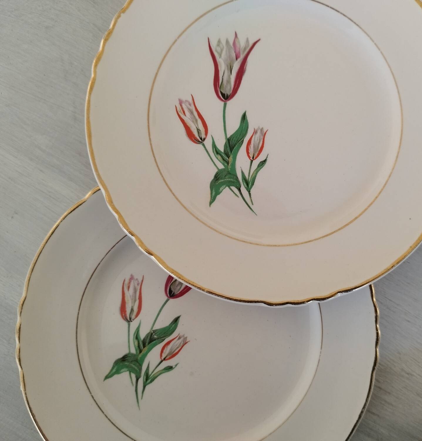 Plates Dessert Cake Old Earthenware Moulin des Loups Orchies Tulip Model