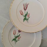 Plates Dessert Cake Old Earthenware Moulin des Loups Orchies Tulip Model