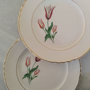 Plates Dessert Cake Old Earthenware Moulin des Loups Orchies Tulip Model